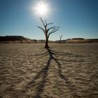 Dead Vlei