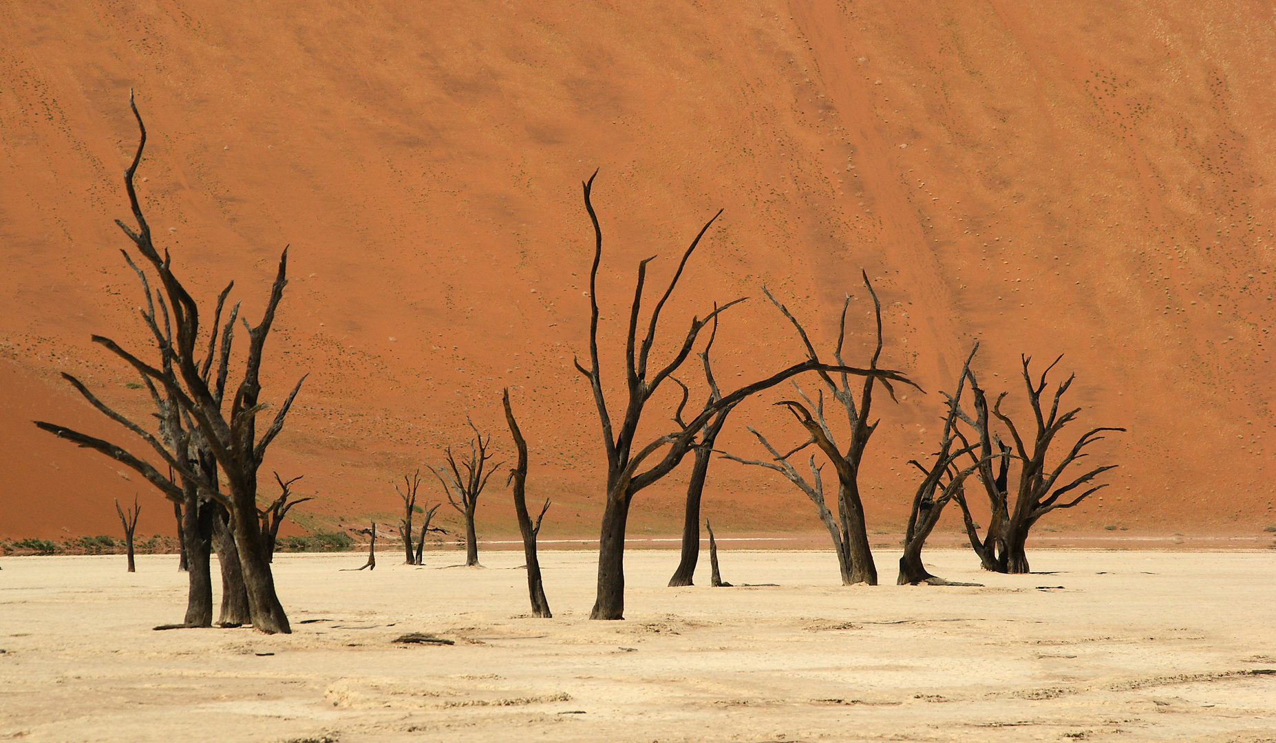 Dead Vlei