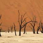 Dead Vlei