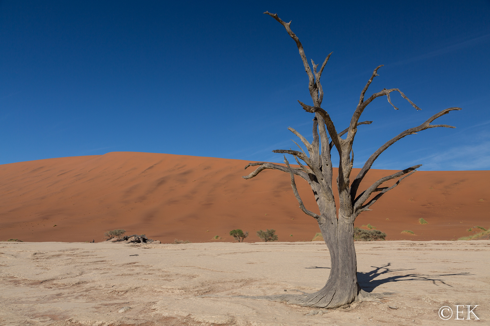 Dead Vlei