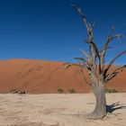 Dead Vlei