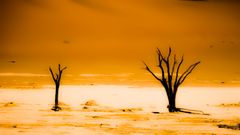 Dead Vlei