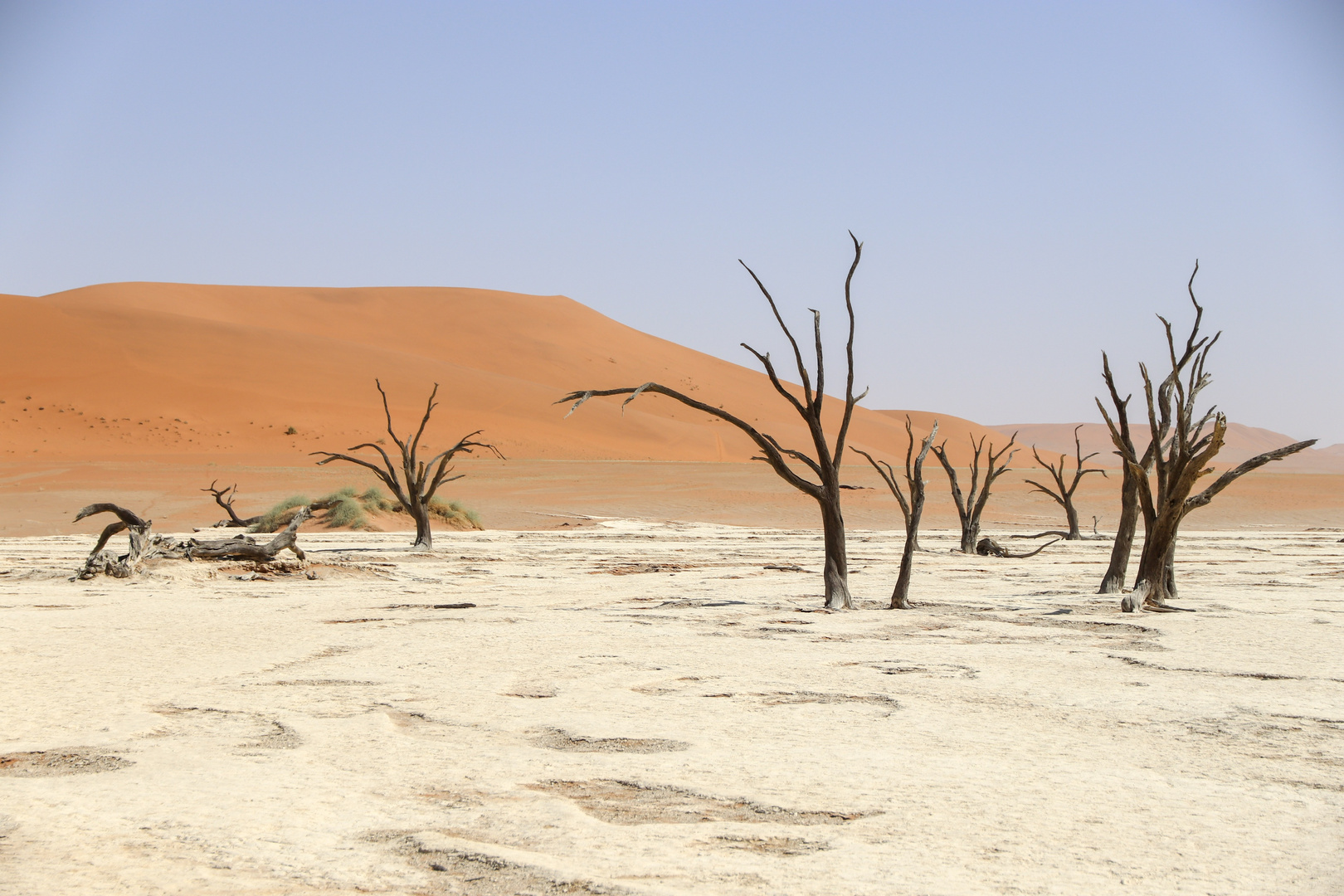 Dead Vlei