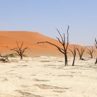 Dead Vlei