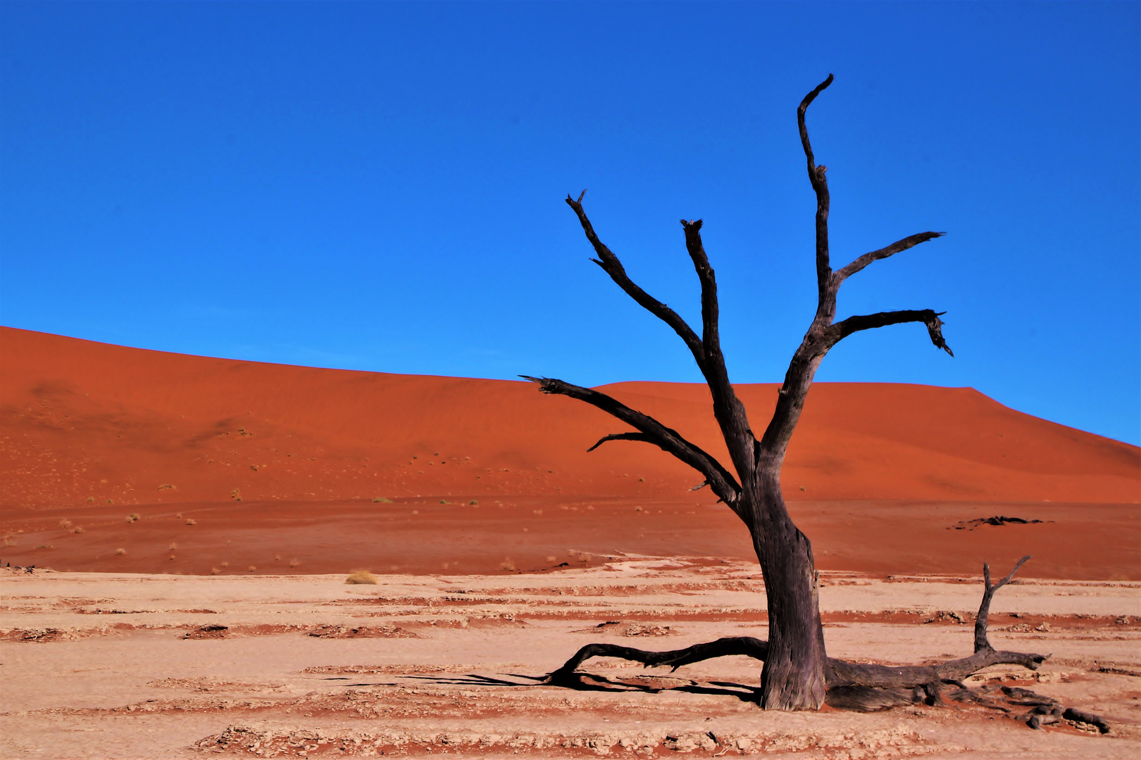 Dead Vlei