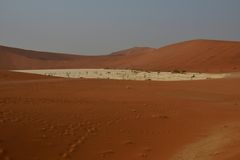 Dead Vlei