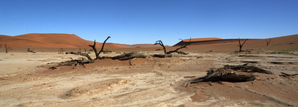 dead vlei