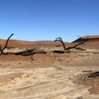 dead vlei