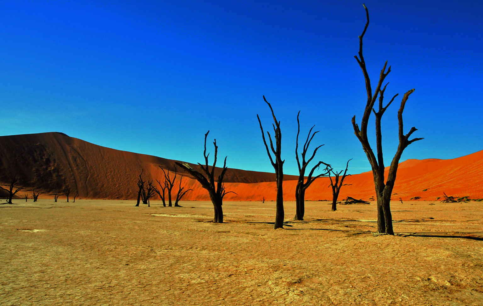 Dead Vlei