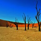 Dead Vlei