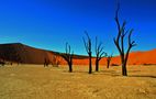 Dead Vlei von Ekkehard S. 