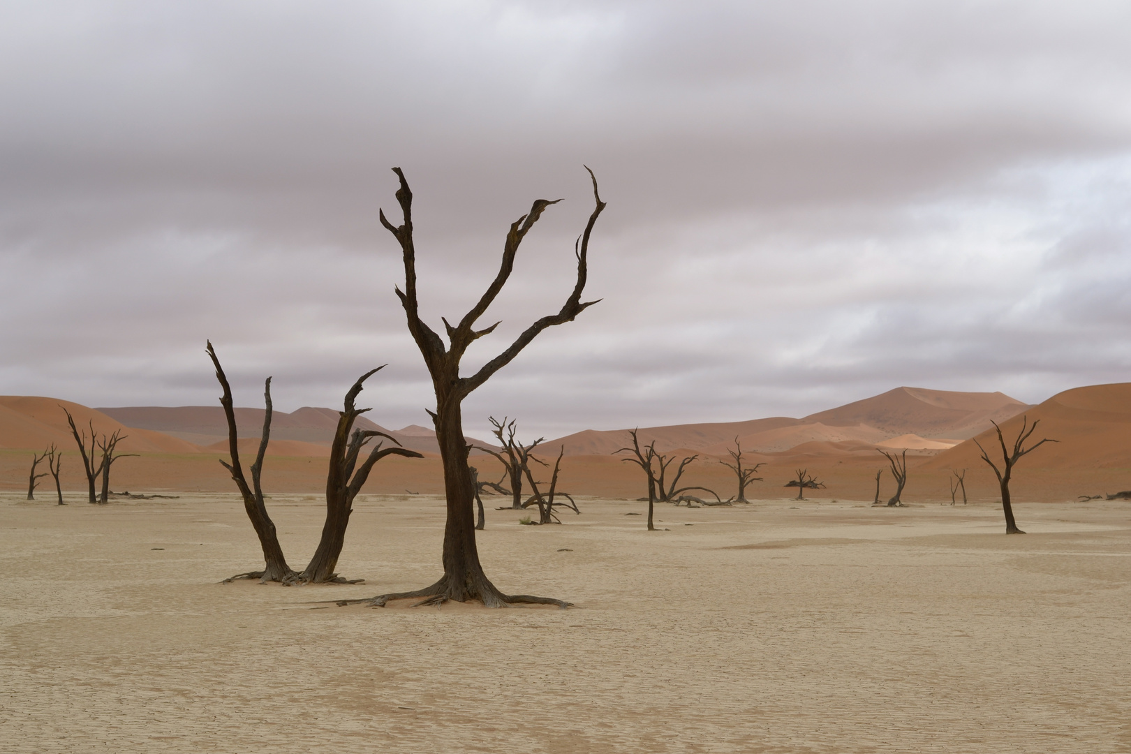 Dead Vlei