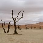 Dead Vlei