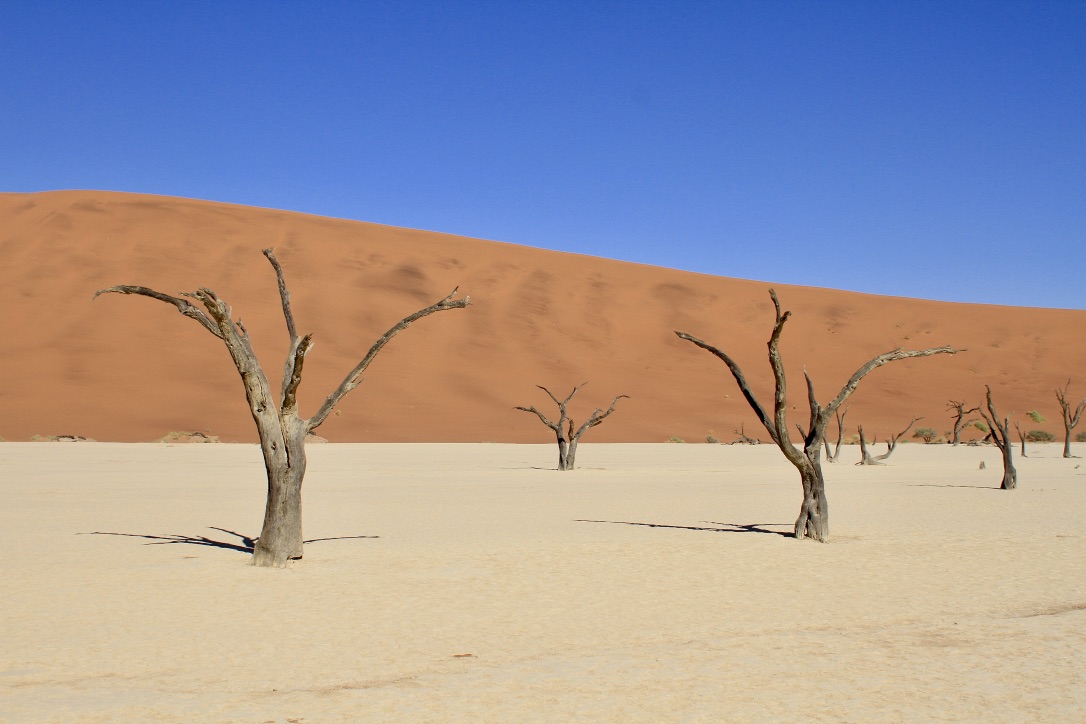 Dead Vlei