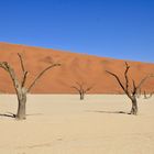 Dead Vlei