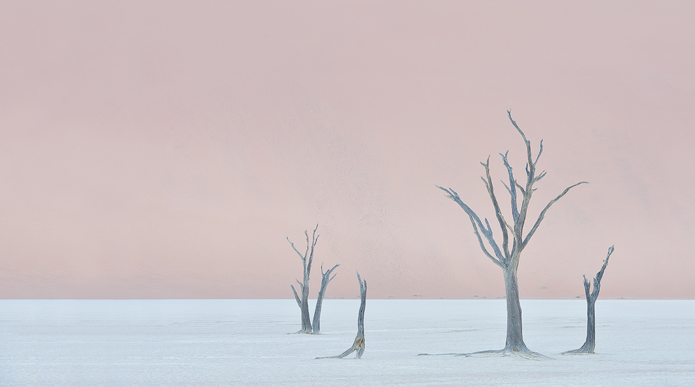 ~ Dead Vlei ~