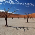 .: Dead Vlei :.