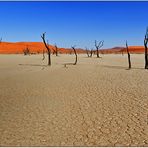 Dead Vlei