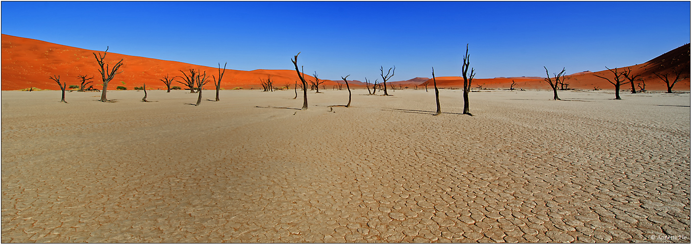 Dead Vlei