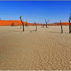 Dead Vlei