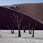 Dead Vlei