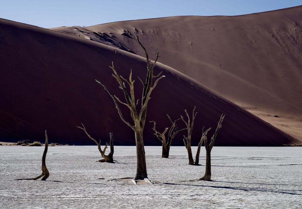 Dead Vlei