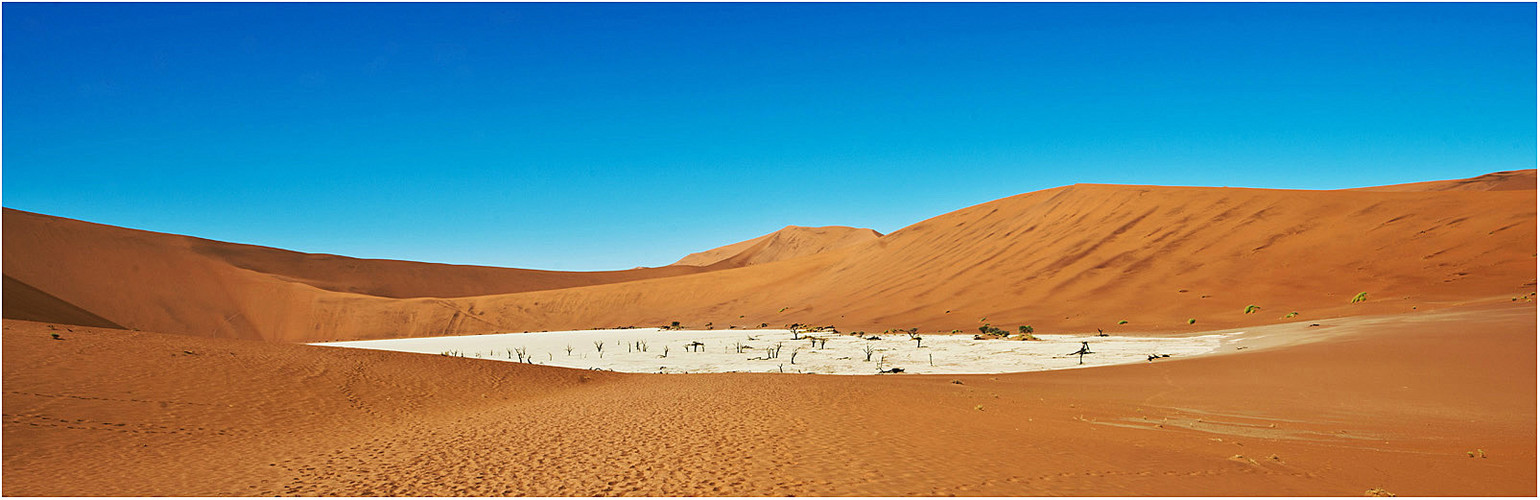 Dead Vlei