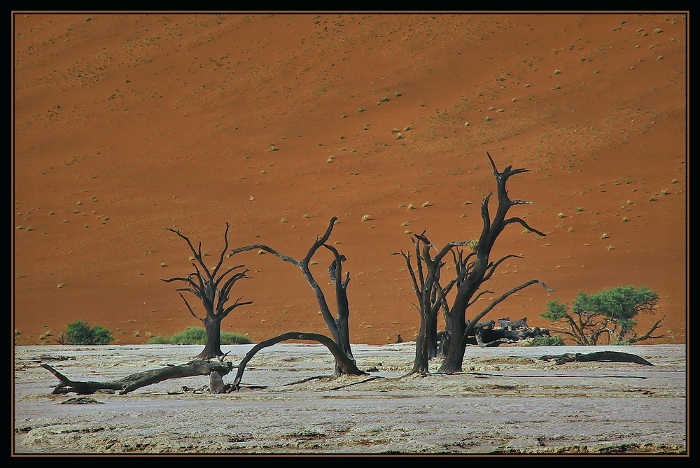 Dead Vlei