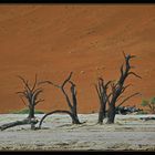 Dead Vlei