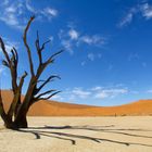 Dead Vlei