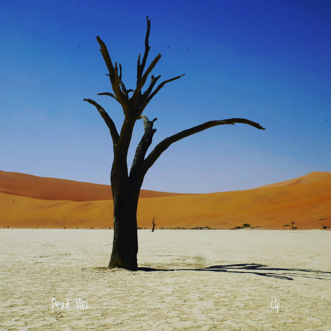 Dead Vlei