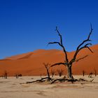 Dead Vlei