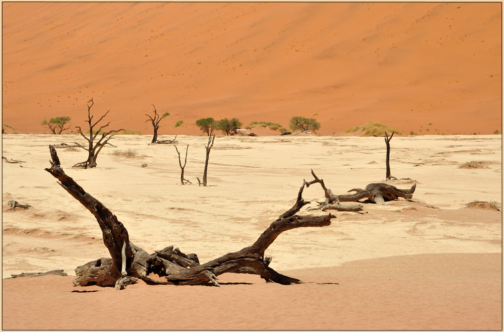 Dead Vlei