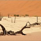 Dead Vlei