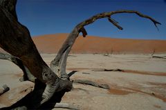 Dead Vlei