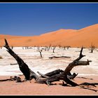 Dead Vlei