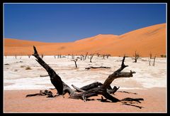 Dead Vlei