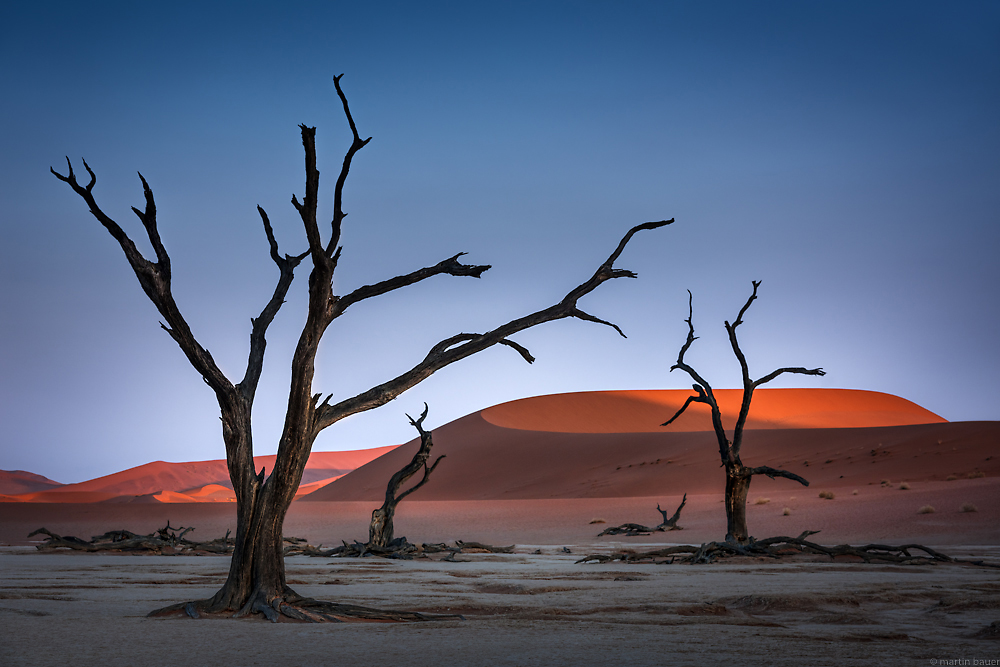 DEAD VLEI