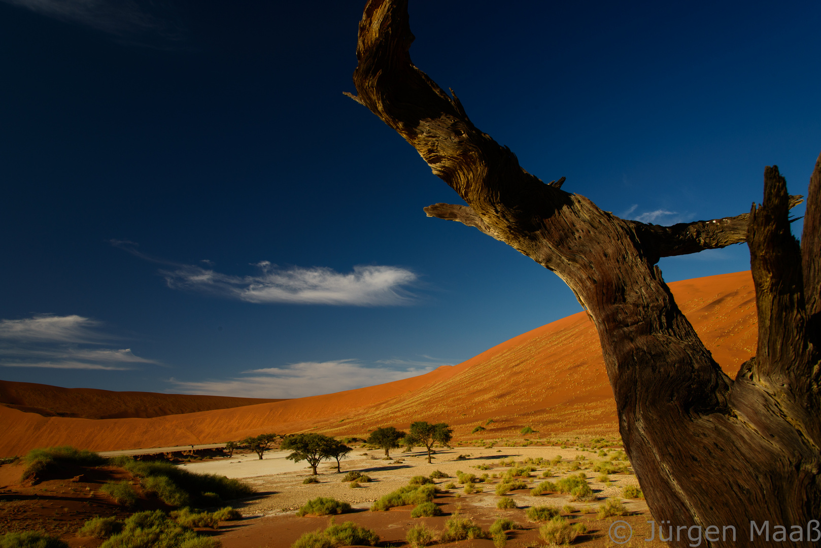 Dead Vlei