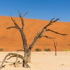 Dead Vlei