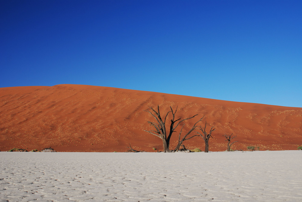 Dead Vlei