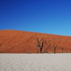 Dead Vlei