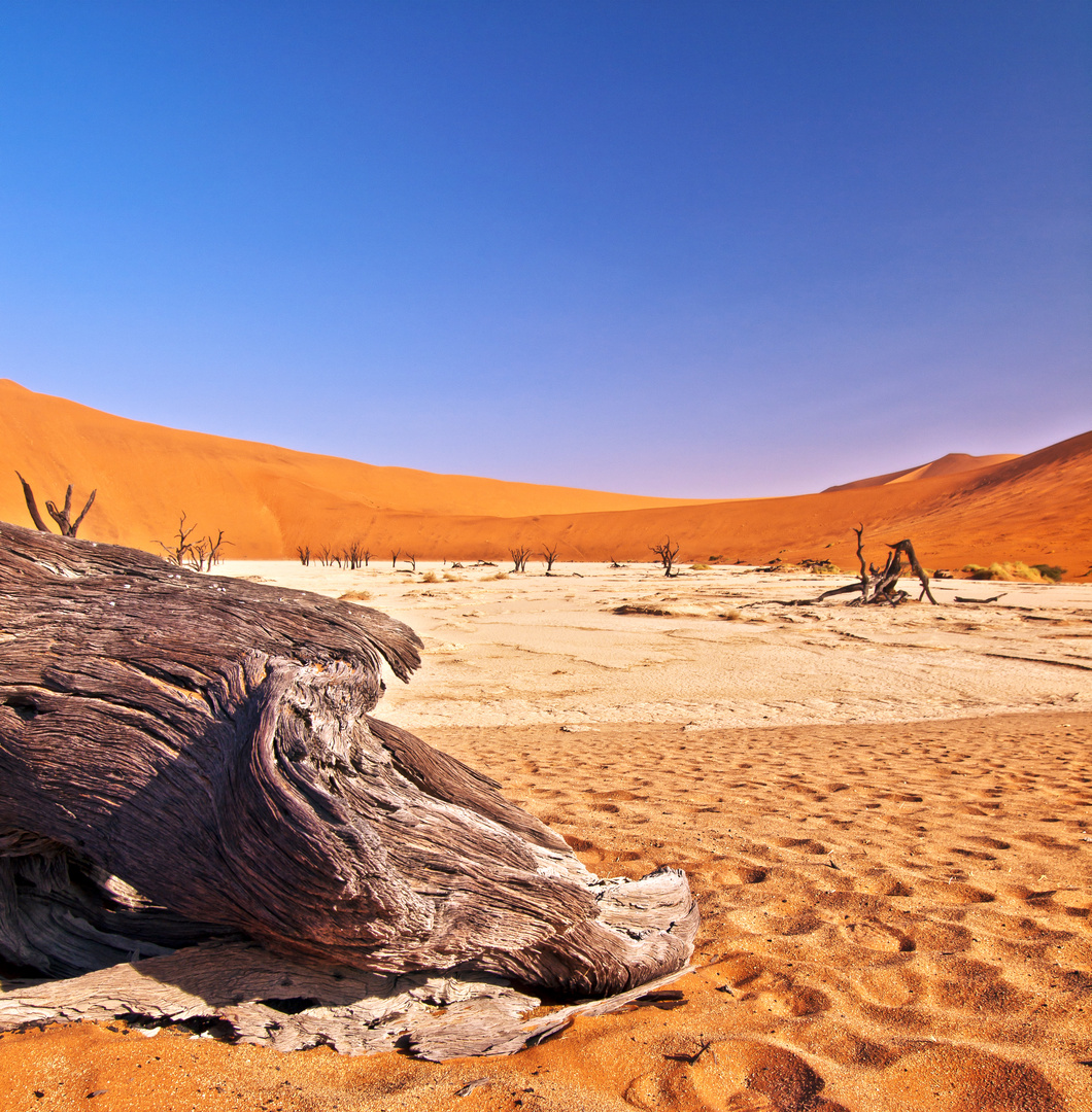 Dead Vlei