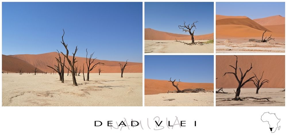 Dead vlei