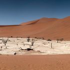 Dead vlei