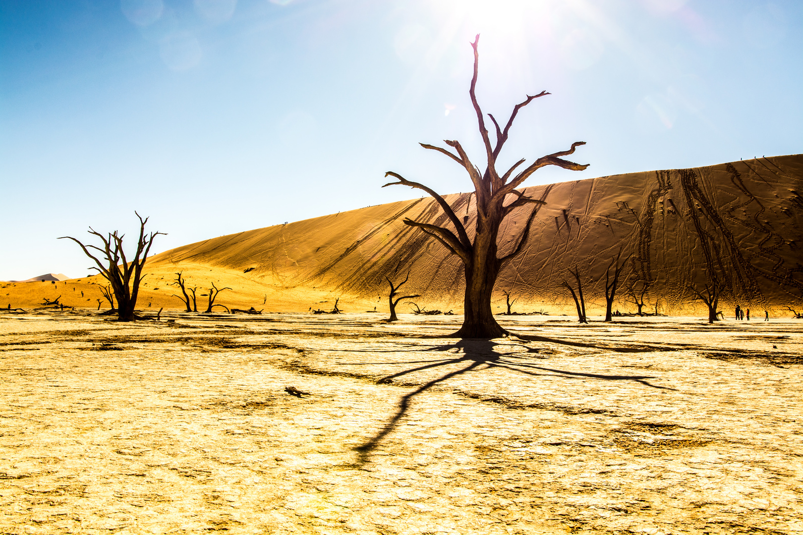 Dead Vlei