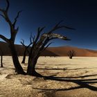 Dead Vlei