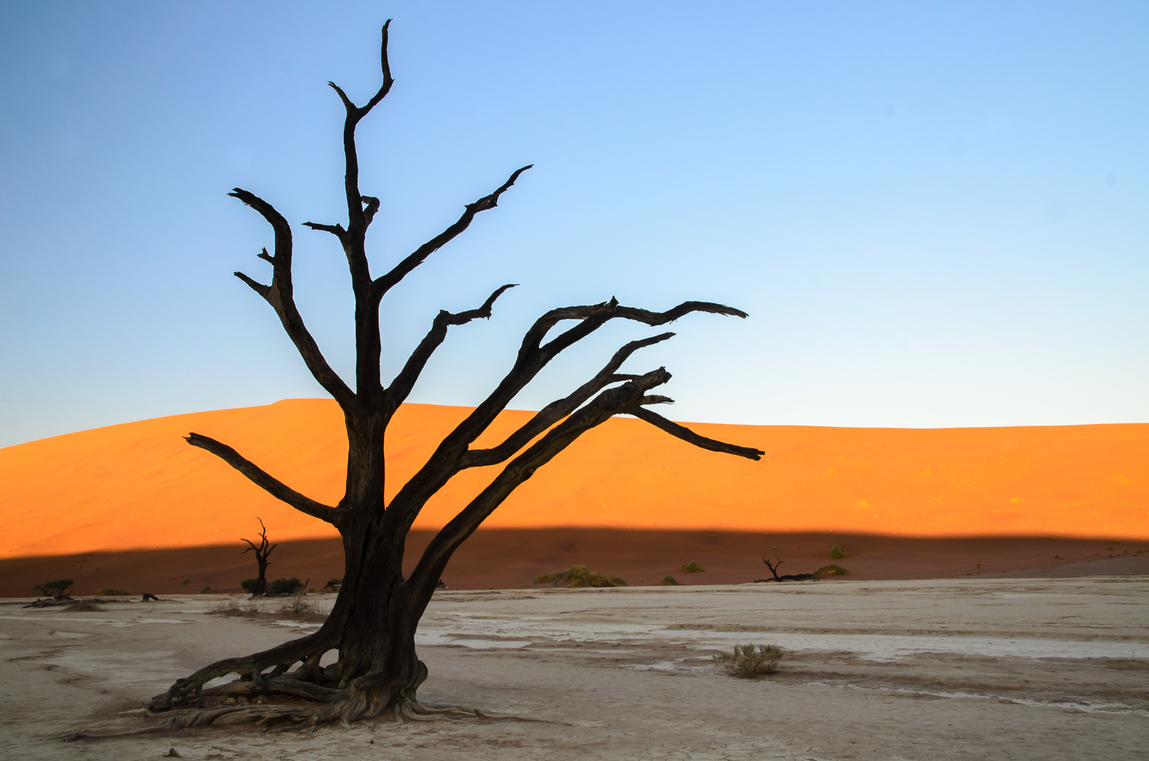 Dead Vlei