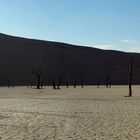 Dead Vlei