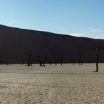 Dead Vlei